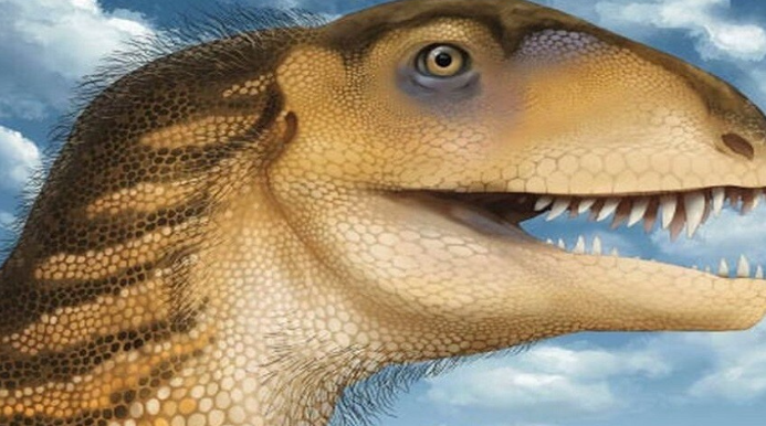 جمجمة محفوظة تكشف نوعا منقرضا لم يُعرف سابقا من الديناصورات