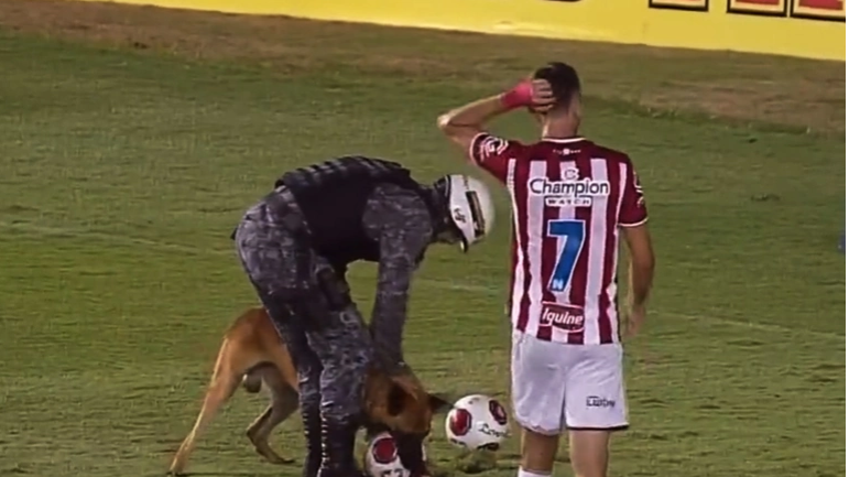 كلب بوليسي يقتحم الملعب ويلتقط الكرة بمباراة نهائية في البرازيل