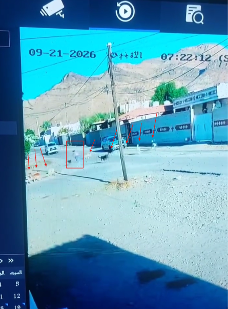 بالفيديو ..  العناية الإلهية تنقذ طفلاً من هجوم عشرات الكلاب الضالة في القويرة ..  وسائق يتدخل في اللحظات الأخيرة