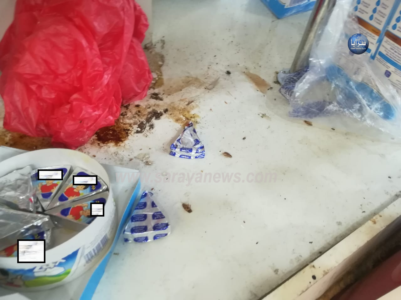 بالصور ..   أبناء الكرك يناشدون إنقاذ المنشآت الغذائية من الحشرات و المكاره الصحية 