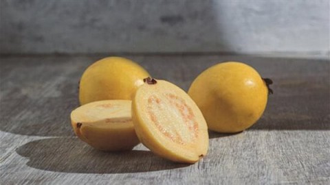 الجوافة وصحة الغدة الدرقية: ما يجب معرفته