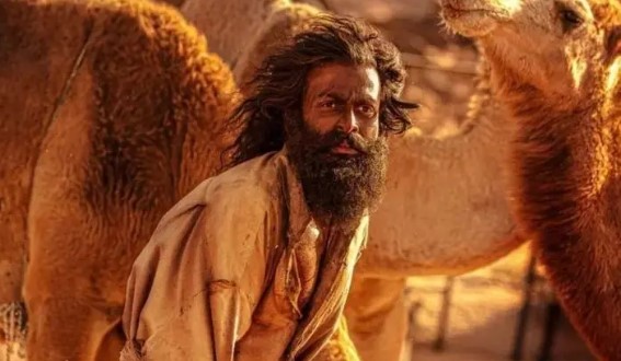 بالفيديو  ..  "سرايا" تكشف القصة الحقيقية لفلم "حياة الماعز"  ..  والجريمة التي أخفاها مخرج الفلم