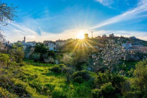 أجواء دافئة في معظم مناطق المملكة اليوم الأربعاء