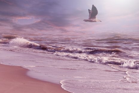 تفسير حلم رؤية البحر في المنام للعزباء