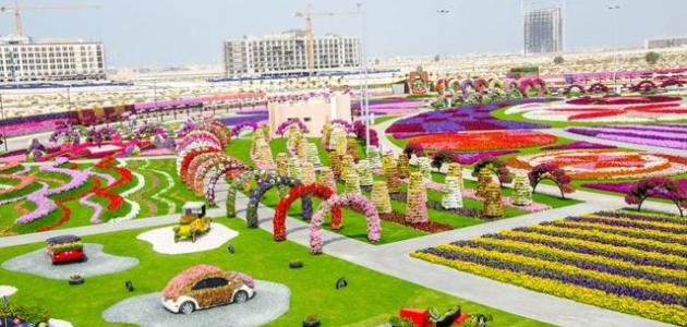 بالصور-حديقة الزّهور في دبيّ 