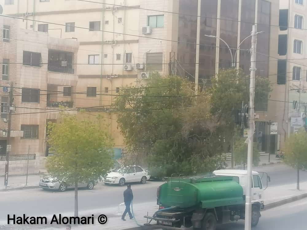 سقي الشجر بيوم المطر