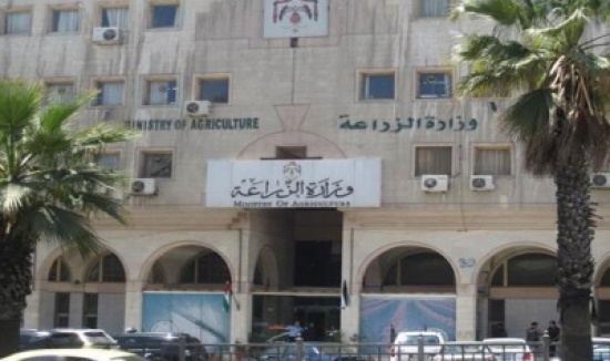 الزراعة لـسرايا : لا خطط تبادل زراعي مع سوريا الا بعد فتح معبر نصيب