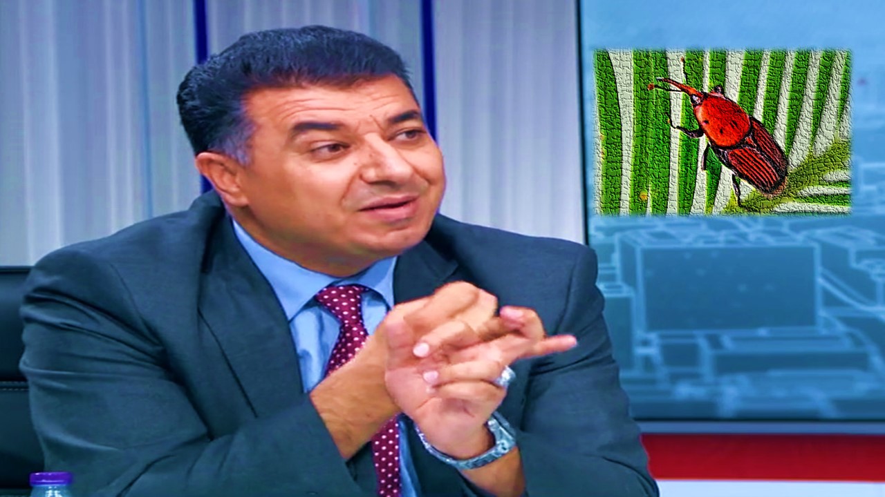 وزير الزراعة لـ"سرايا": تمكنا من كبح جماح "السوسة الحمراء" التي تُهدد ثروة النخيل المُثمر