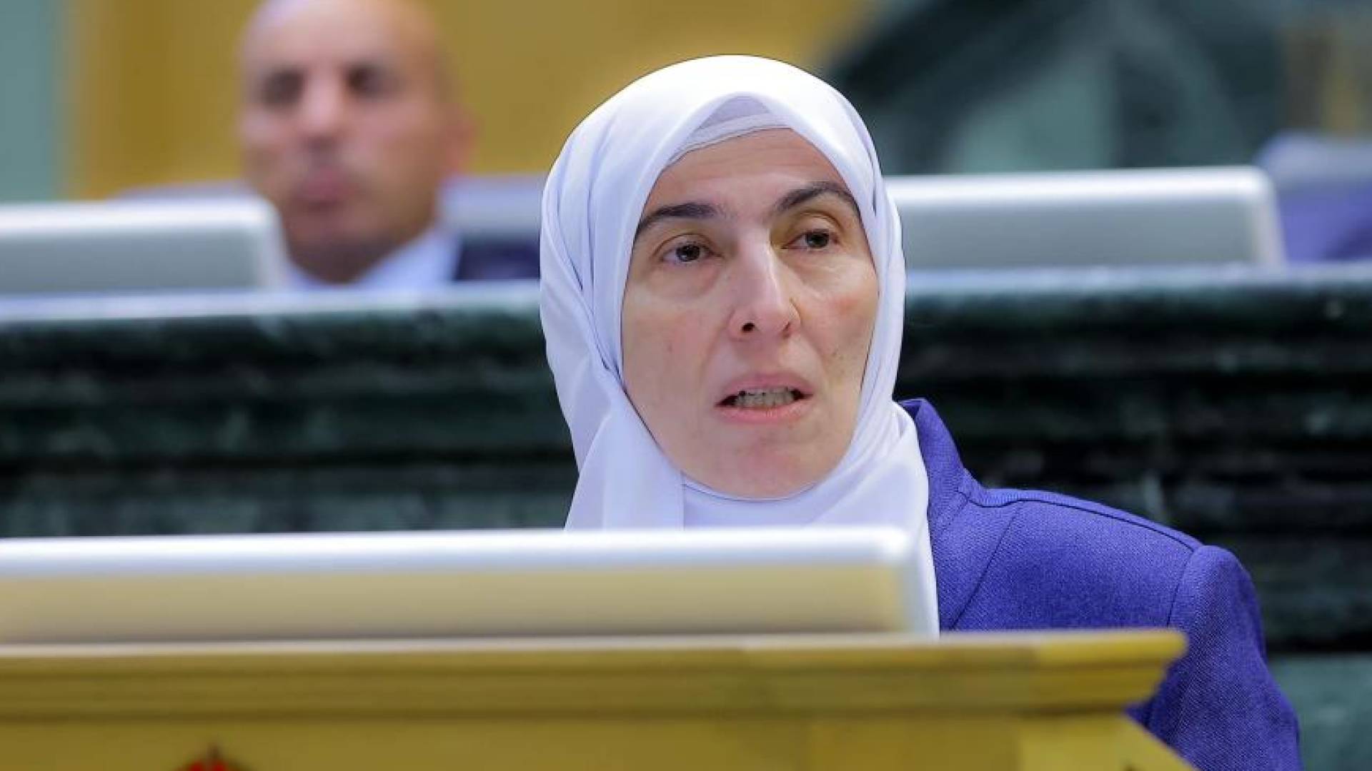 النائب "طهبوب" تدعو لتقديم القيم على السوق في قانون التربية الجديد