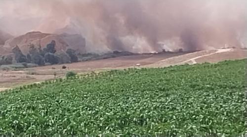 بالفيديو  ..  حريق كبير يمتد من داخل الأراضي المحتلة إلى الأراضي الأردنية بالاغوار الشمالية 