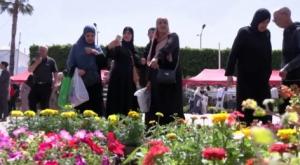 مدينة الورود بالجزائر تحيي تقاليدها القديمة بتنظيم معرض الزهور