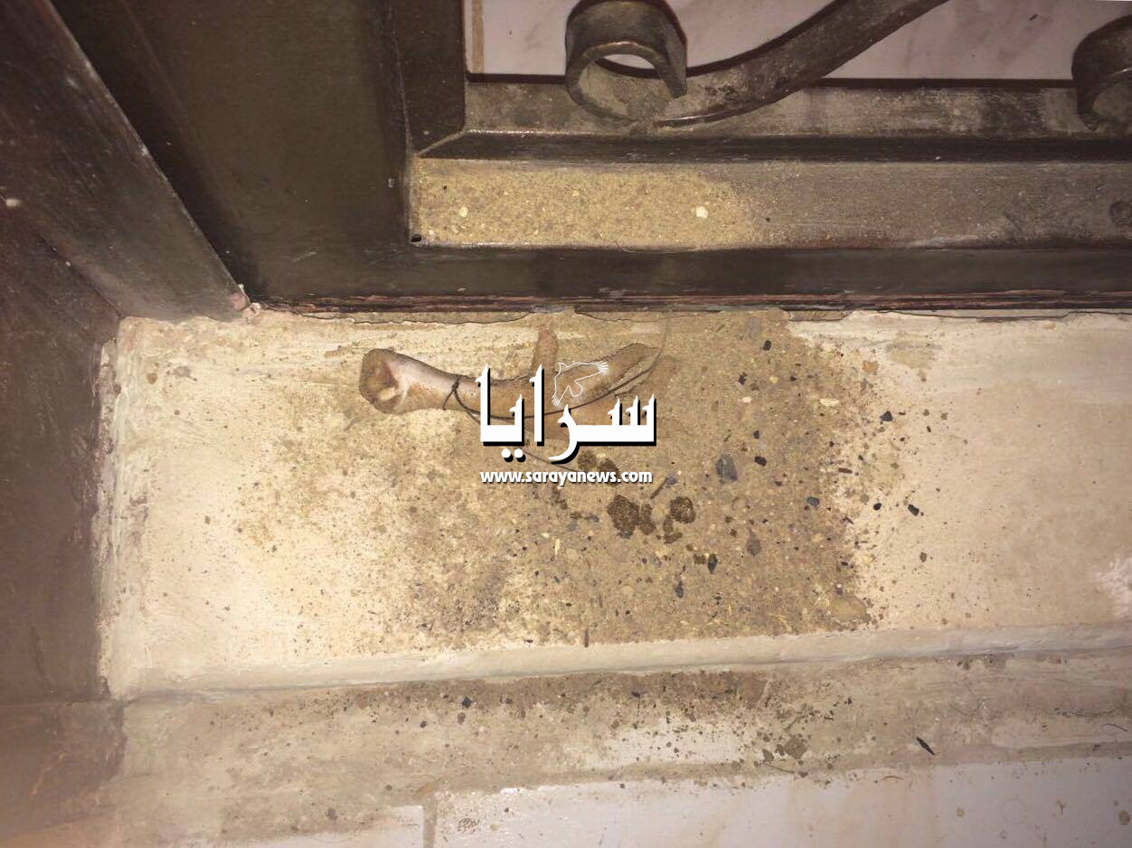 اربد: العثور على "سحر" امام منزل عائلة في الحي الشرقي ..  صورة