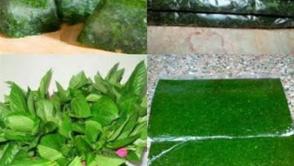 ثلاث طرق مختلفة لتخزين الخضرة فى الفريزر وإخراجها طازجة