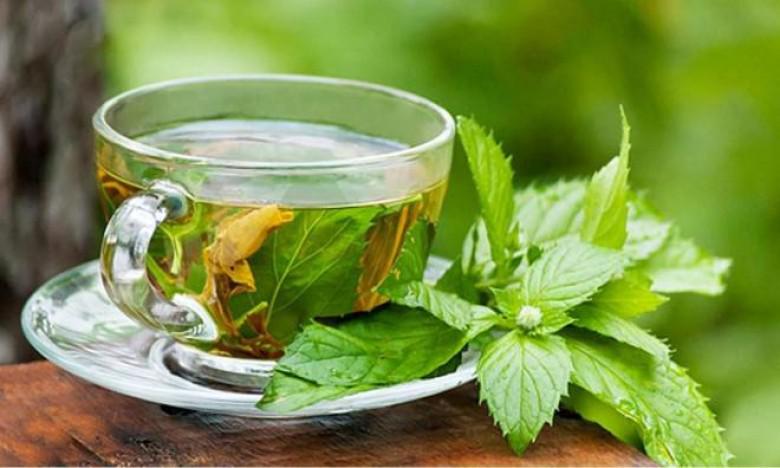 لا تنخدع بفوائده ..  تحذير خطير للرجال من تناول مشروب النعناع!​