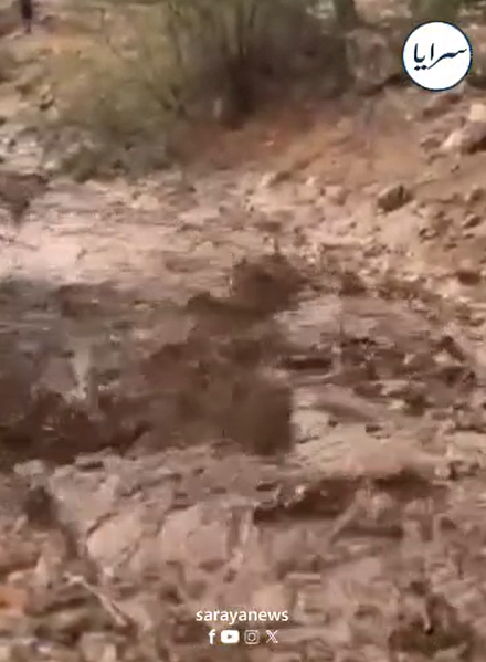  بالفيديو ..  سيول إثر أمطار غزيرة في الأغوار الشمالية