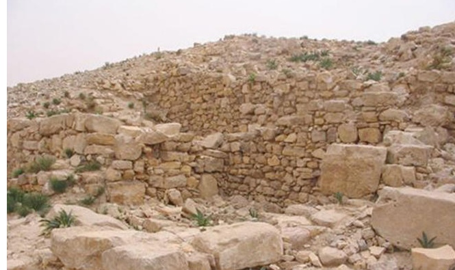 امام وزير السياحة 