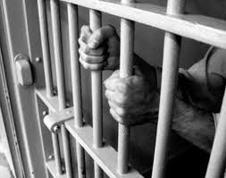  حبس ثلاثة متهمين بقضية "البورصات الوهمية"  