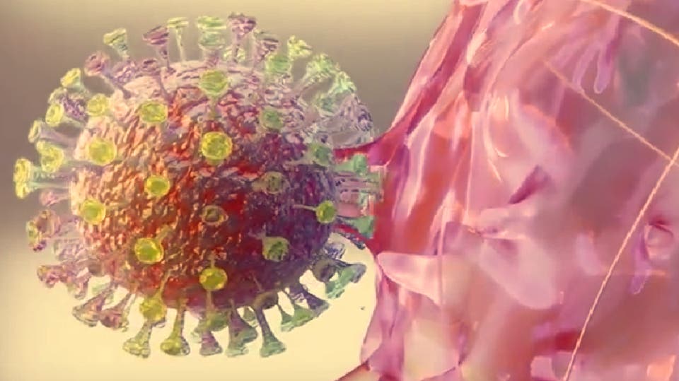العلماء يكتشفون نقطة ضعف "خطيرة" بفيروس كورونا تجعله يخدع جهاز المناعة  ..  تفاصيل