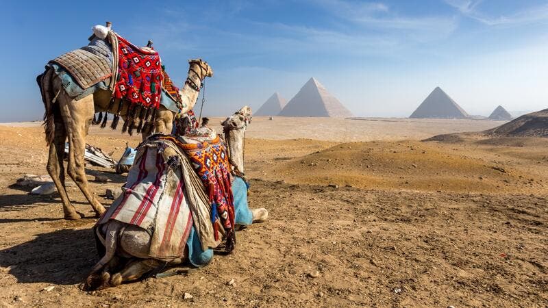 9 طرق للاستمتاع بالقاهرة أثناء وباء كورونا