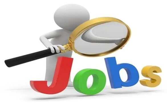 وظائف شاغرة في الحكومة - تفاصيل