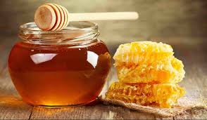 إنتاج العسل في الأردن ينخفض 60% هذا العام