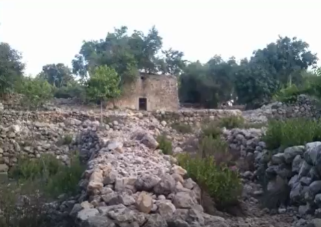 بالفيديو ..  تعرفوا على قرية القبو المهجرة قضاء القدس