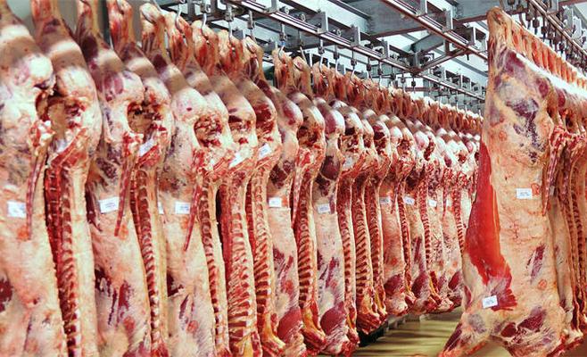 الزراعة توقف استيراد اللحوم المبرده برا