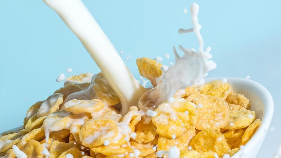 هل يساعد الحليب فعلاً على تقوية العظام؟ 