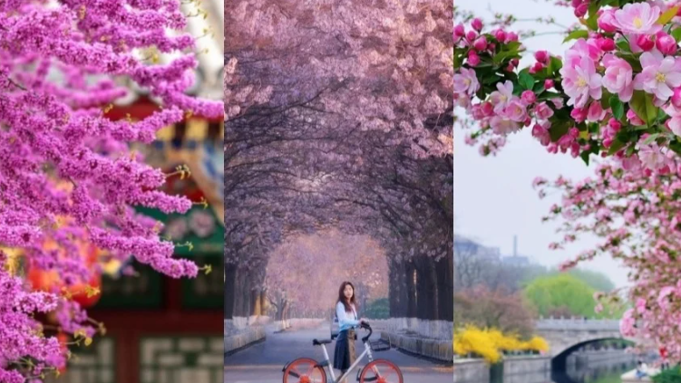 9.5 مليار رحلة خلال عيد الربيع في الصين لعام 2026