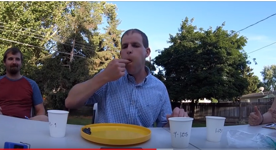 بالفيديو  ..  رجل يحطم الرقم القياسي ويضع 146 حبة توت في فمه مرة واحدة 