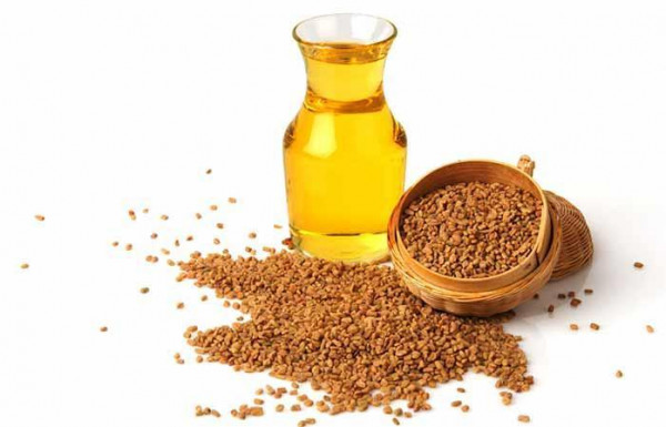 فوائد الحلبة للصحة الجلدية ولمرضى السكري والكولسترول