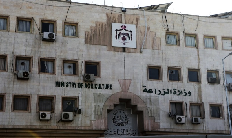 الزراعة: لا تمديد لشراء الحبوب من المزارعين