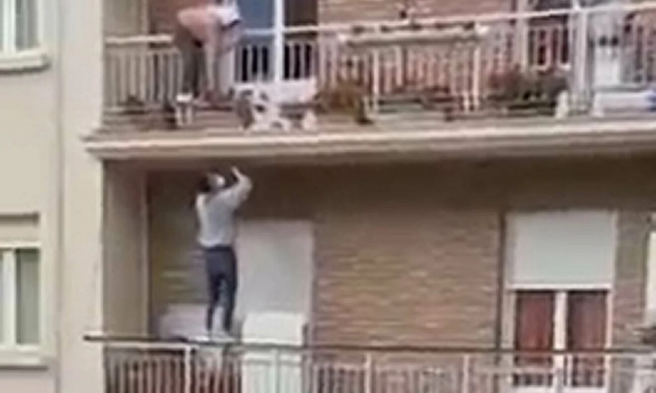 بالفيديو  ..  شاب قام بعمل بطولي ..  تسلّق مبنى من طابقين لإنقاذ مسنة