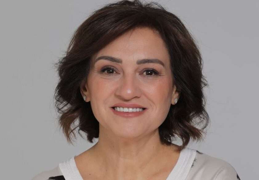 تمارا خزوز تكتب: مأزق تآكل الأحزاب: بين المساءلة والمسؤولية