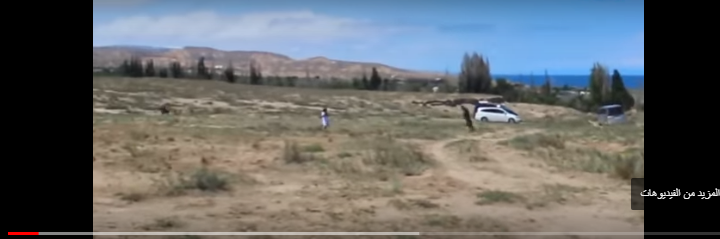بالفيديو : نسر يباغت طفلة بهجوم مفاجئ ويحاول خطفها امام صيادين 
