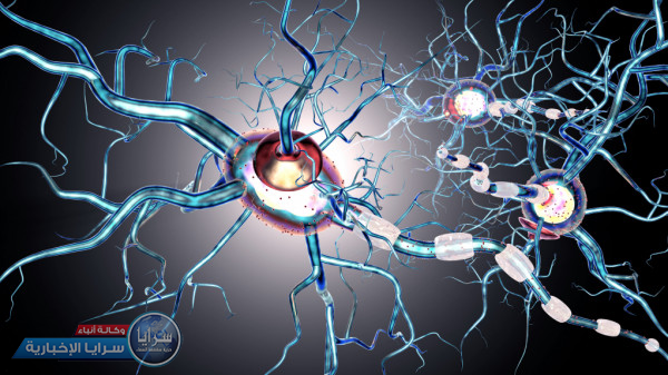 هل هناك علاقة بين التصلب المتعدد وفيروس الهربس ..  خبراء يجيبون