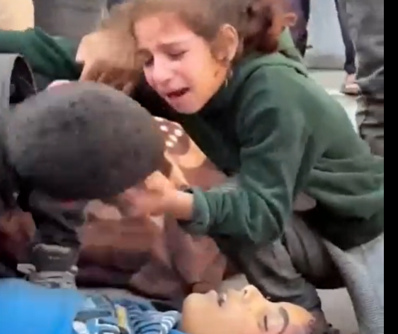 شاهد بالفيديو  ..  طفلة فلسطينية تواسي أخيها بفقدان أخ آخر بعد أبيهم 