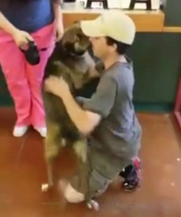 بالفيديو - لقاء كلب بصاحبه بعد عام من التخلي عنه