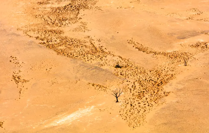 ضلوا طريقهم في الصحراء ..  20 ماتوا عطشاً فوق رمال ليبيا