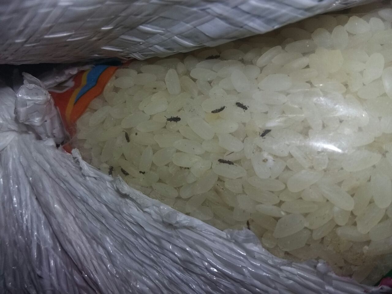 ضبط طن من الأرز غير الصالح للاستهلاك البشري في الأغوار الشمالية