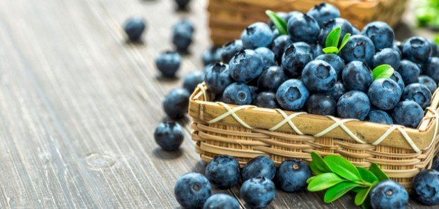 دراسة  ..  التوت الأزرق يخفف من حدة التدهور المعرفي