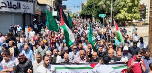 مسيرة حاشدة في إربد نصرةً لغزة - صور