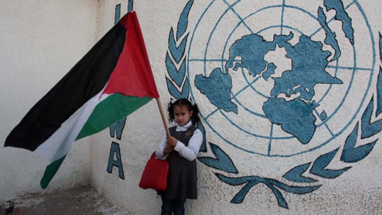 النمسا تتبرع بـ1.5 مليون يورو لدعم خدمات "الأونروا" بفلسطين