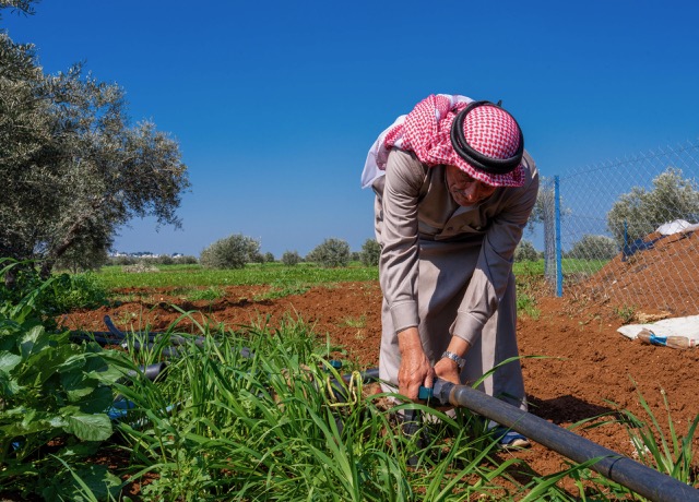 وادي الأردن ..  مزارعون يستقبلون موسمهم الجديد بخسائر فادحة وتحديات متفاقمة