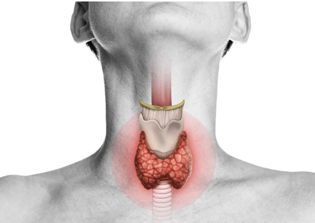علامات تشير إلى اختلال عمل الغدة الدرقية