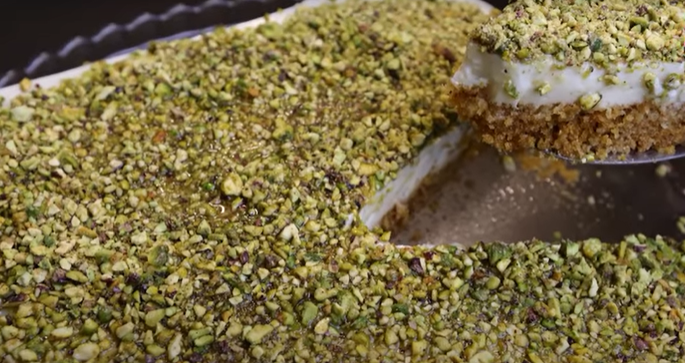 بالفيديو ..  عش السرايا