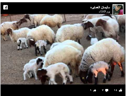 https://www.sarayanews.com/image.php?token=340961310a330eb226ebb2d2c1778c48&size=xxlarge
