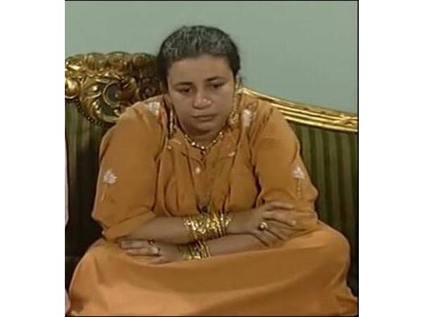 حقيقة اعتزال عبلة كامل