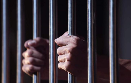 بقرار من محافظ الزرقاء ..  توقيف شخص لتعذيبه قططًا في منزله