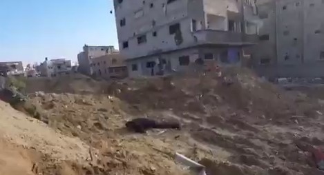 بالفيديو  ..  غزي يلقى الله شهيداً برصاص الاحتلال بعد أن داهمهم بقنبلة وسكين لوحده